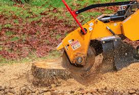 Best Pest Control for Lawns  in Rancho Murieta, CA
